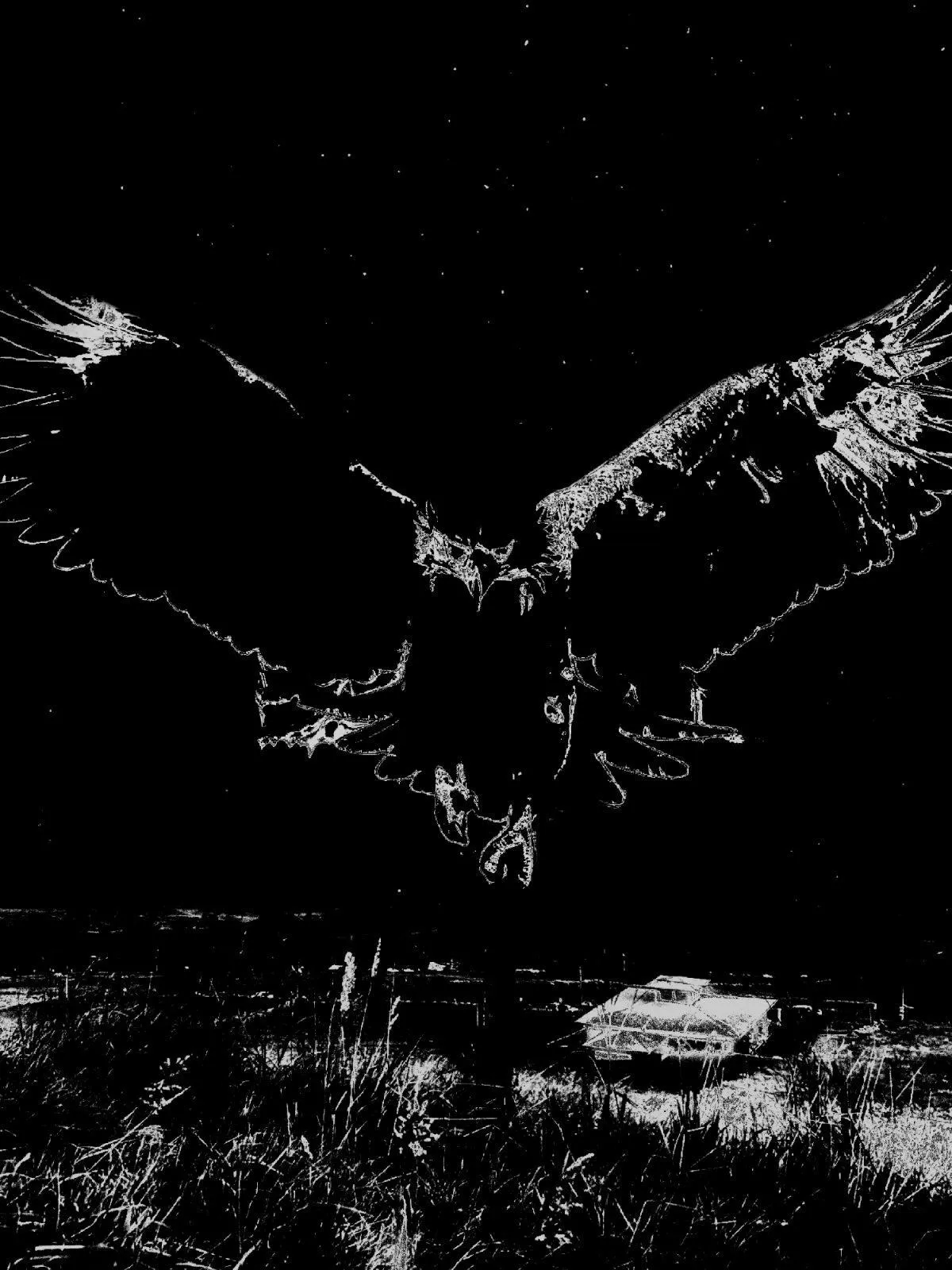 Diseño Eagle