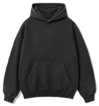 Core Hoodie Gris